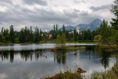 kırsal bir gölün sakin su kıyı ağaçlarının yansımaları