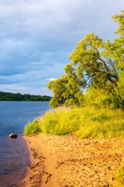 kırsal bir gölün sakin su kıyı ağaçlarının yansımaları