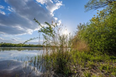 gökyüzünde mavi su ve beyaz bulutlar ile göl tarafından güneşli yaz günü. yansımaları ve yeşil ağaç yaprakları