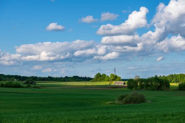 çiçekler ve mavi gökyüzü ile kırsal güneşli bir günde parlak yeşil çayır