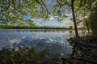 ağaç yaprakları ve dalları altında nehir tarafından güzel gün batımı. sakin su, bulutlar ve su yansımaları ile mavi gökyüzü. akşam yüzen ördekler