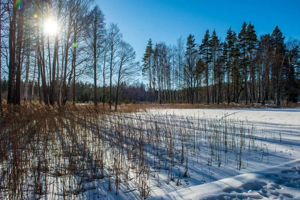 Campos Florestas Cobertas Neve Geada Inverno Paisagem Rural Vazia — Fotografia de Stock