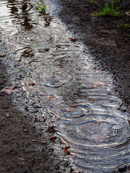 лужа грязи и грязная вода в стране
