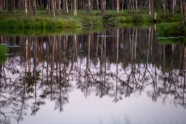 Отражения Береговых Деревьев Спокойной Воде Озера Сельской Местности — стоковое фото