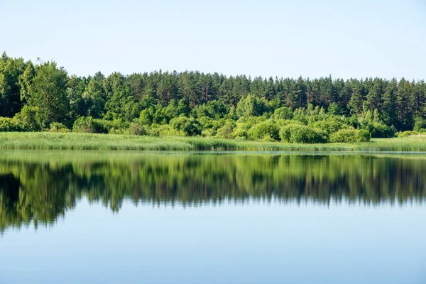 Reflektioner Strand Träd Det Lugna Vattnet Sjö Landsbygden — Stockfoto