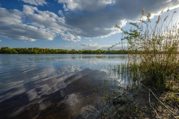 Сонячний Літній День Біля Озера Блакитною Водою Білими Хмарами Небі — стокове фото