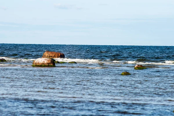 Empty Sea Beach Rocks Grass Summer Low Tide Baltic Sea — Stock Photo, Image