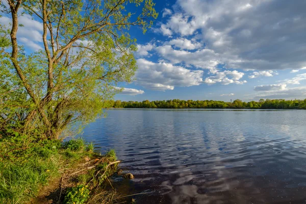 Красивый Закат Реки Листьями Деревьев Ветвями Спокойная Вода Голубое Небо — стоковое фото