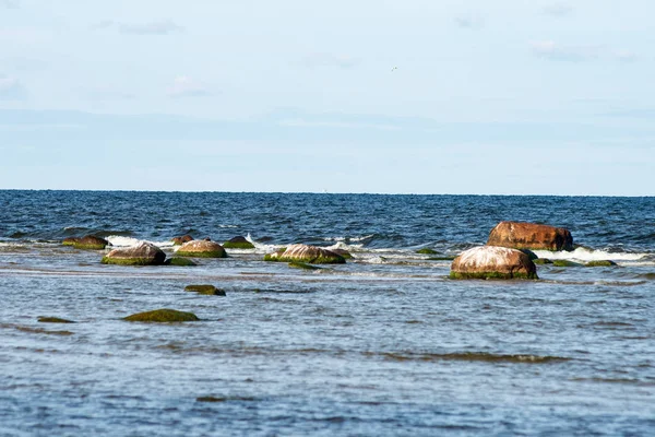 Lege Zee Strand Met Rotsen Gras Zomer Met Laag Tij — Stockfoto