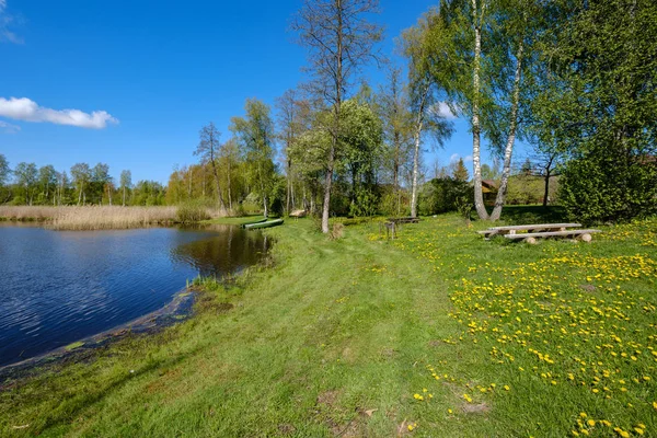 recreation camping area by the blue lake in sunny summer day on the shore of water body with trees, green meadow with dandelions and boats on the shore