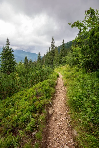 Hiking Trails Slovakia Rainy Summer Day Rocks Green Foliage Trees Stock Photo