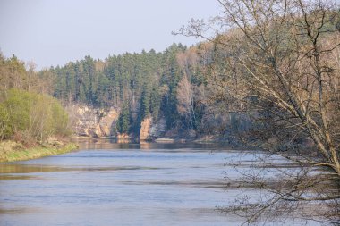 ormanda nehir kıyısında doğal kum taş kayalıklar
