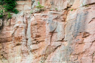 ormanda nehir kıyısında doğal kum taş kayalıklar