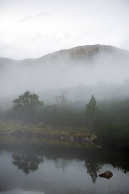 yeşil alanlar ve ormanlar üzerinde sisli ve bulutlu gündoğumu