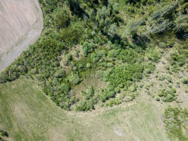 yeşil yaz da kırsal alanları ve ormanların havadan görünümü