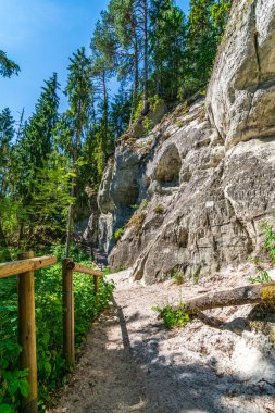 ormanda nehir kıyısında doğal kum taş kayalıklar