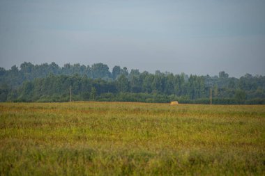 yeşil alanlar ve ormanlar üzerinde sisli ve bulutlu gündoğumu