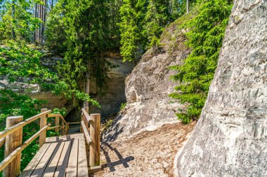 ormanda nehir kıyısında doğal kum taş kayalıklar