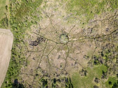 yeşil yaz da kırsal alanları ve ormanların havadan görünümü