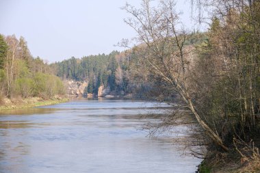 ormanda nehir kıyısında doğal kum taş kayalıklar