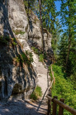 ormanda nehir kıyısında doğal kum taş kayalıklar