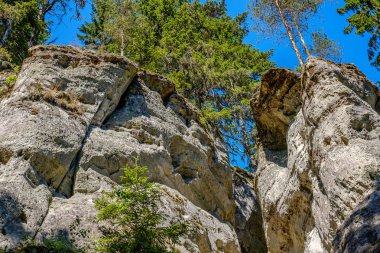 ormanda nehir kıyısında doğal kum taş kayalıklar