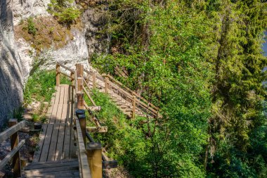 ormanda nehir kıyısında doğal kum taş kayalıklar