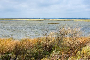 fırtınalı havalarda göl veya deniz plajı