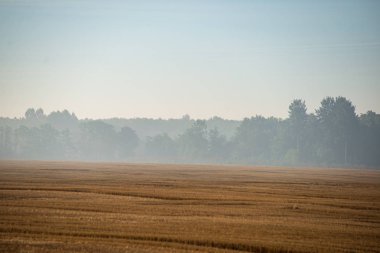 yeşil alanlar ve ormanlar üzerinde sisli ve bulutlu gündoğumu