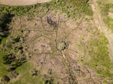 yeşil yaz da kırsal alanları ve ormanların havadan görünümü