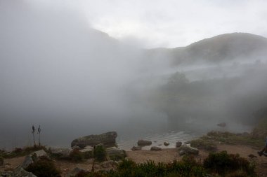 yeşil alanlar ve ormanlar üzerinde sisli ve bulutlu gündoğumu