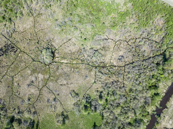 Luchtfoto van het platteland velden en bossen in groene zomer da — Stockfoto
