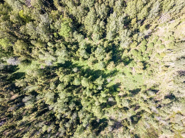Воздушный вид на сельские поля и леса в зеленой летней да — стоковое фото