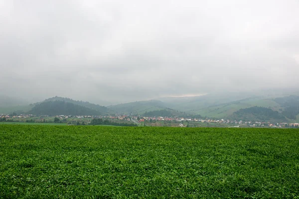 Zamlžený a oblačený východ slunce nad zelenými poli a lesy — Stock fotografie