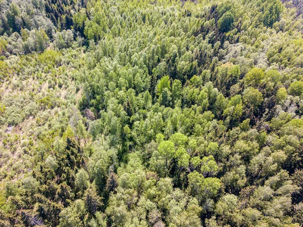 Vue aérienne des champs ruraux et des forêts en été vert da — Photo