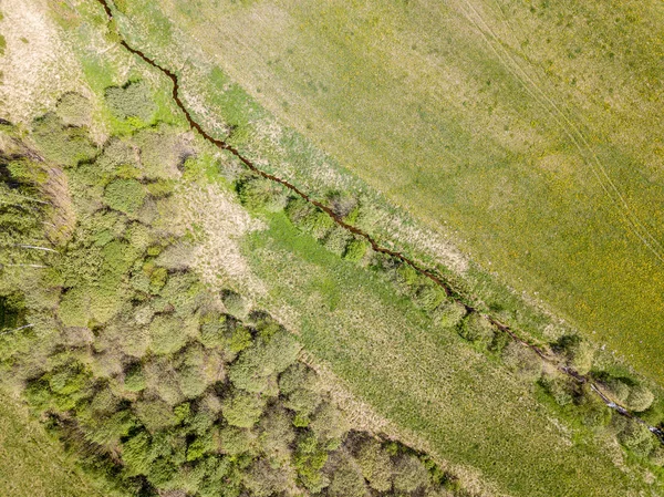 Вид з повітря на сільські поля і ліси в зеленому літньому да — стокове фото