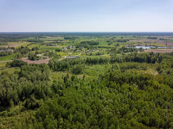 yeşil yaz da kırsal alanları ve ormanların havadan görünümü