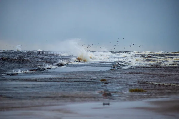 Lago ou praia do mar em tempo tempestuoso — Fotografia de Stock