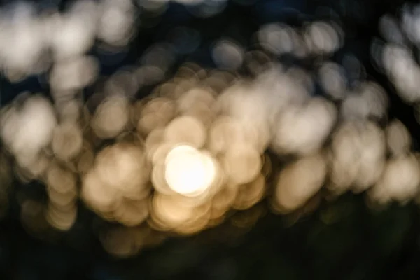 Solnedgång bakom träd med lins oskärpa effekt — Stockfoto