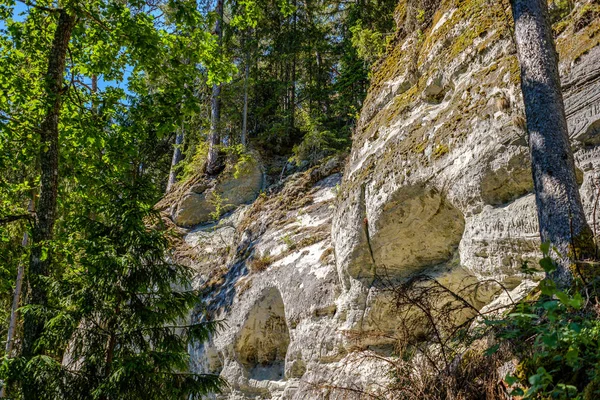 Falaises de grès naturel sur la rive de la rivière en forêt — Photo
