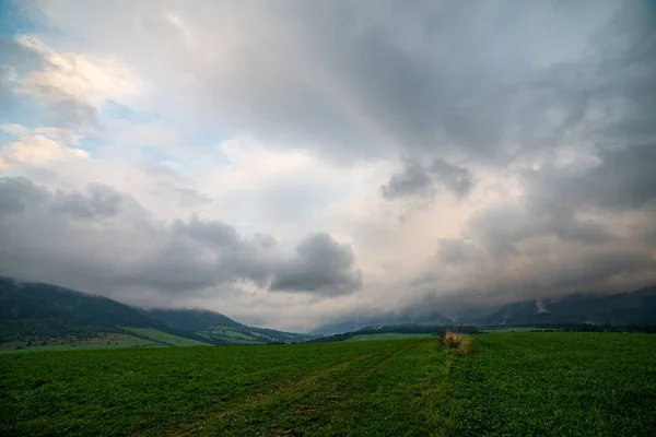 Misty and cloudy sunrise above green fields and forests — Stock Photo, Image