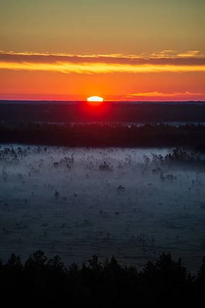 Mistige en bewolkte zonsopgang boven groene velden en bossen — Stockfoto