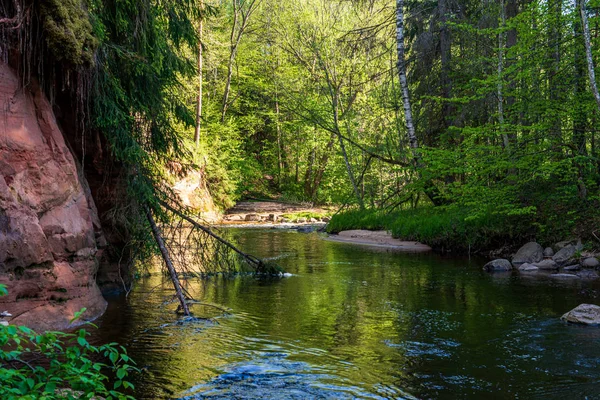 Naturalnych skał piasku kamiennych na brzegu rzeki w lesie — Zdjęcie stockowe