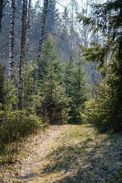 Smutsig grus landsbygd grusvägen på sommaren — Stockfoto