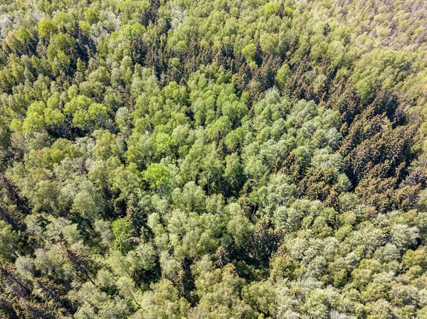 Vue aérienne des champs ruraux et des forêts en été vert da — Photo