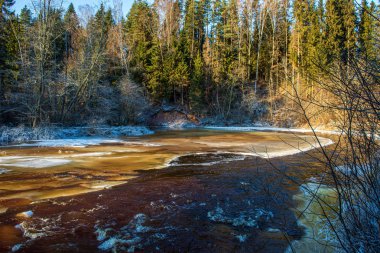 ağaçlar ile orman kayalık dere doğal nehir görünümü manzara