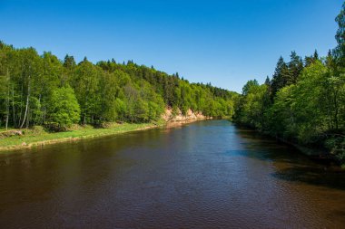 ağaçlar ile orman kayalık dere doğal nehir görünümü manzara