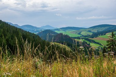slovakya Tatra dağ sisli havalarda üstleri