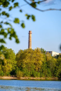 doğal ağaçlar ve yeşil otlaklar ile ilkbaharda nehir kıyısı