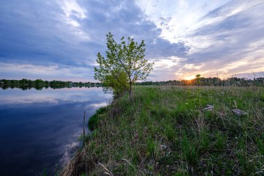 doğal ağaçlar ve yeşil otlaklar ile ilkbaharda nehir kıyısı
